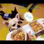 ペットの食育講座in福山Movinカフェ